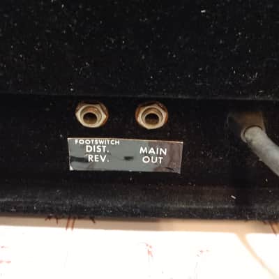 Polytone Mini Brute image 7