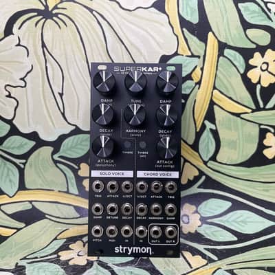 Strymon SuperKar+ 32 Voice String Synthesis image 2