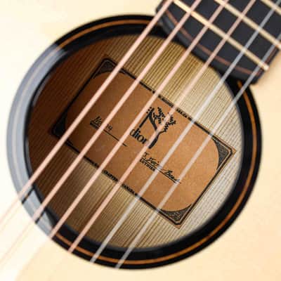 Dion Guitars No. 4 Italian Spruce Cocobolo image 14