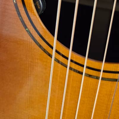 Alvarez LT70e Herringbone 12-Fret Auditorium Acoustic-Electric Guitar Sunset Finish w/ Soft Case image 9