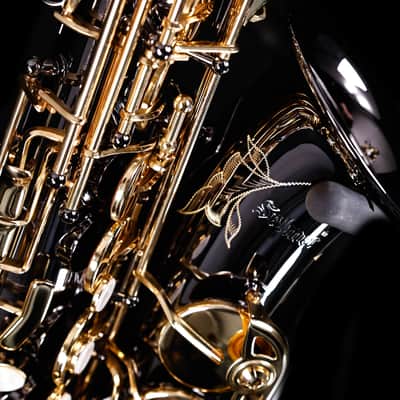 Selmer SAS511B Intermediate Alto Saxophone, Black Nickel image 9