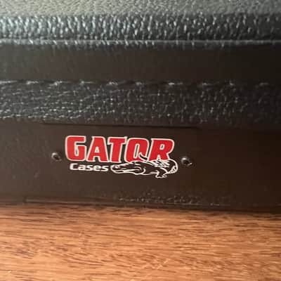 DEMO VIDEO Tagima Stella dw with Gator hard case image 14