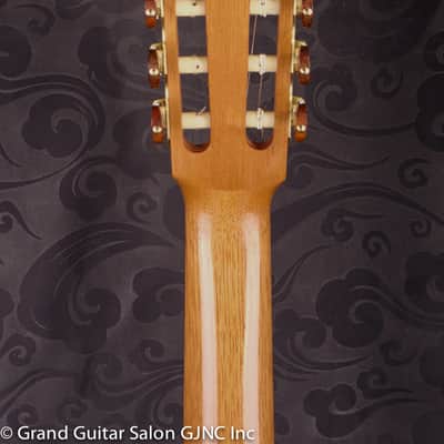 Otto Vowinkel 1A Concert Guitar , Cedar/Brazilian rosewood B & Sides image 17