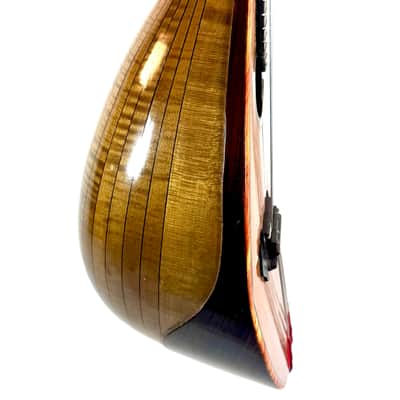 Gelas Type Double-Top ConcertMandolin (J. Rowies Label) 1927 image 7