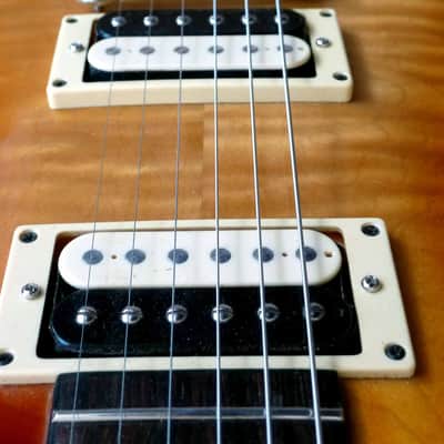 Master George Gorodnitski LPM 2017 Sunburst image 3