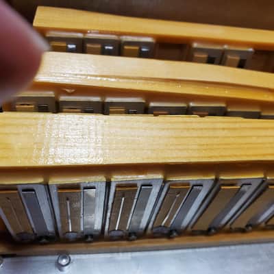Titano Tiger Accordion Blue WOW!! image 13