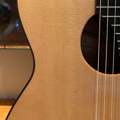 * * * McGill "SUPER ACE" Acoustic Guitar * * * image 19