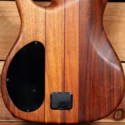 PEAVEY VINTAGE 1989 DYNA-BASS +OHSC Neck-Thru Active/Passive USA UNITY SERIES 04197 image 6
