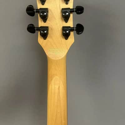 Schecter Diamond Series 2009 image 7