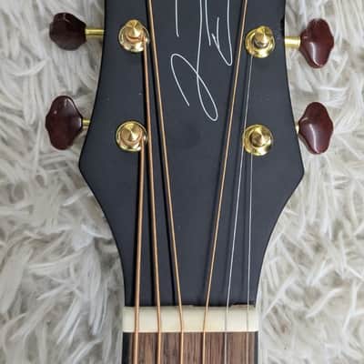Recording King RPS-JTE-T Justin Townes Earle Single O Acoustic Guitar - B-Stock image 6