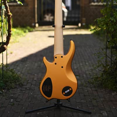 Dingwall NG3 Adam "Nolly" Getgood Signature 6 String - Gold Matte image 18