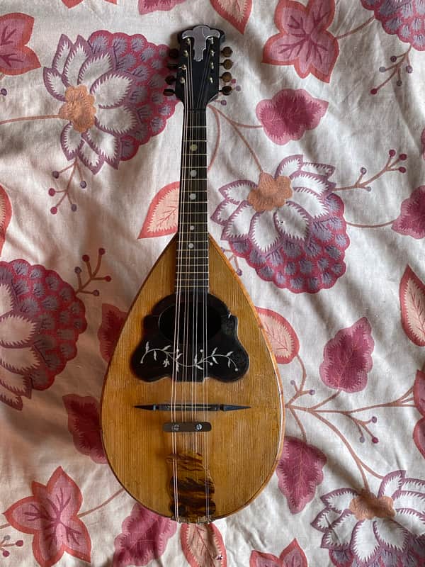 Gennaro Maglioni vintage bowlback Mandolin. image 1