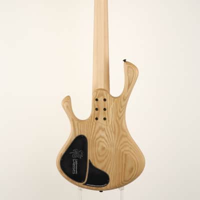 Zakrzewski Basses Essential ESSB5-AA [SN EX4/03] [06/12] image 7