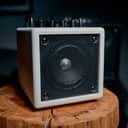 Phil Jones Bass 35W Nano Bass Amp, White, Lightest Portable Tone-To-Go, Only 5.3 lbs.!