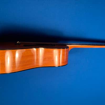 Washburn D-15 image 5