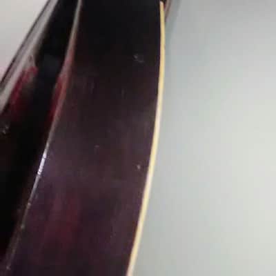 Gibson "Style-J" Mando-bass  1919. With Original Canvas Bag and "Orientation" Pegs! image 15