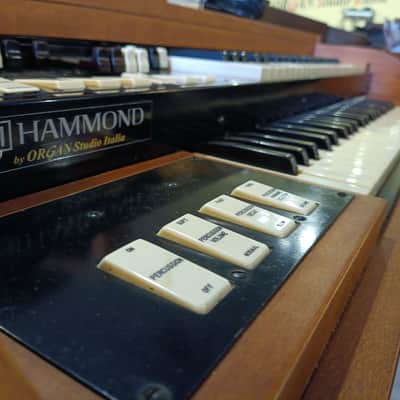 Hammond  M3 Portable image 21