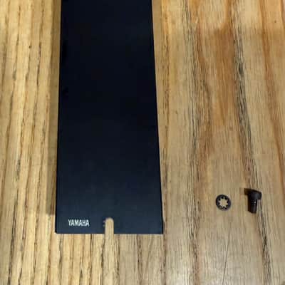 Yamaha TX216 TX816 TF1 Empty Slot Front Cover Plate w/ Screws & Washers