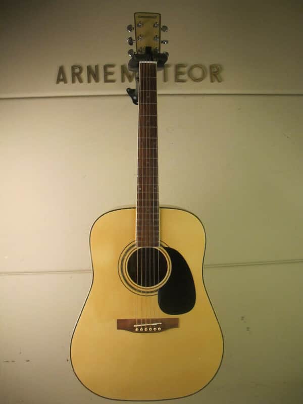MEINL's "Chinchilla" Japan,vintage Folk-Westerngitarre. image 1