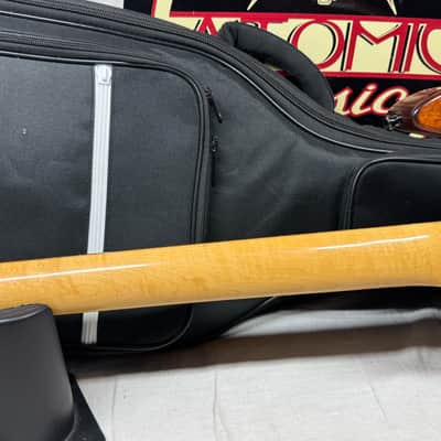 Godin G Series G4000 g 4000 Guitar with Gig Bag 1996 image 9