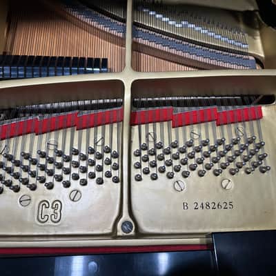 Yamaha C3B 1978 - Satin Black image 6