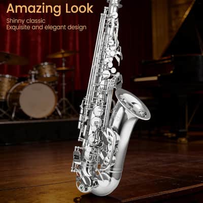 Leo Jaymz Eb Alto Saxophone - One-Piece Body or Neck Construction, H68 Brass, with Thickened Travel Bag - Nickel image 6
