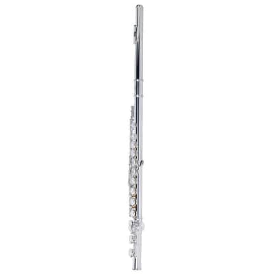 Alysee FL-510SE Flute With Case image 2