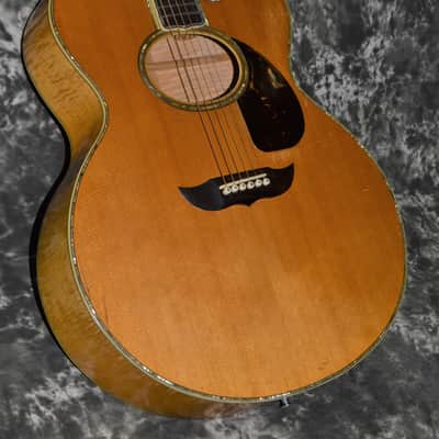 1979 Greven - Custom White Queen Cutaway image 4