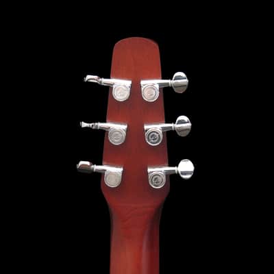 Seagull Entourage Autumn Burst Dreadnaught image 8