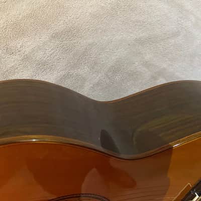 Milagro MRC10 10-String Classical Guitar + Ameritage Custom Built Case image 17