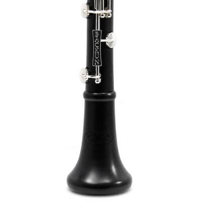 Backun BCLBPROTG-SK 'Protégé' Intermediate Bb Clarinet in Grenadilla SN PZ-10015 image 3