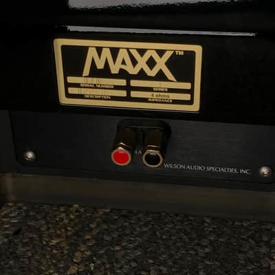 Wilson Audio Maxx Series 2 Towers Speakers (Pair) image 23