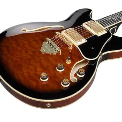 Ibanez As93 Qmspdbs image 1