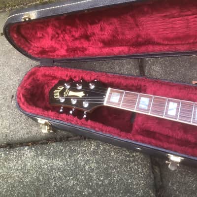 Guild Bluesbird image 18