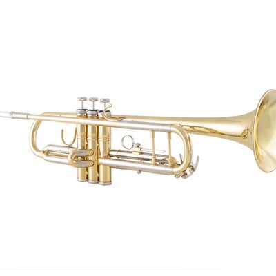 Bach BTR301 Premium Trumpet Outfit image 1