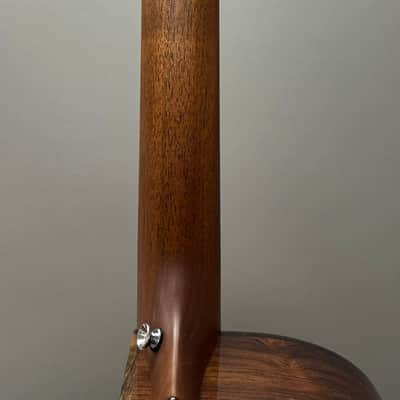 Bedell Breedlove Brazilian Rosewood Brand New With Cities passport image 7