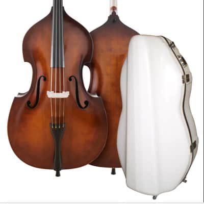 Czech Ease Acoustic Road Bass from David Gage with Flight Case