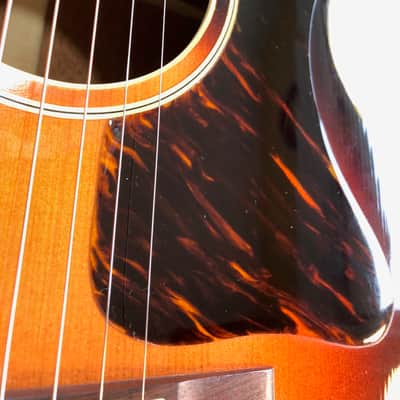 Michael Hauver Nick Lucas Sunburst image 7