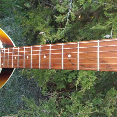 Danelectro Teardrop/Coral 1969 3-Color Sunburst Electric Guitar image 4