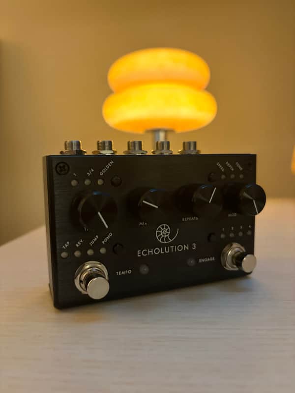 Pigtronix Echolution 3 2021 - Black image 1