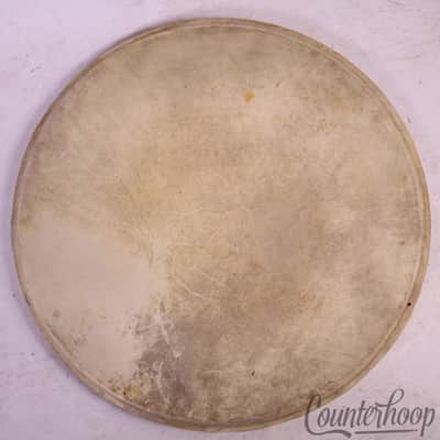 Rogers 14"Calf Skin Snare Drum/Floor Tom Drum Head Batter Eagle Badge Vintage50s image 1