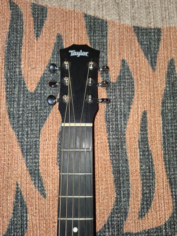 Taylor BT1 2013-2021 - Natural image 1