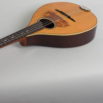 Vega Style 201 Flat Back, Bent Top Mandolin (1916), ser. #34381, black tolex hard shell case. image 7