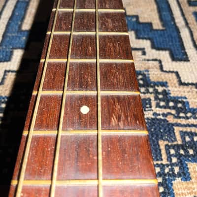 1930s Favilla Wimbrola 6 String Concert Ukulele Rare Mahogany Uke image 14