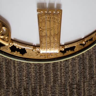Stelling Staghorn Gold Plated Banjo No. 4510 (c. 1996) image 8