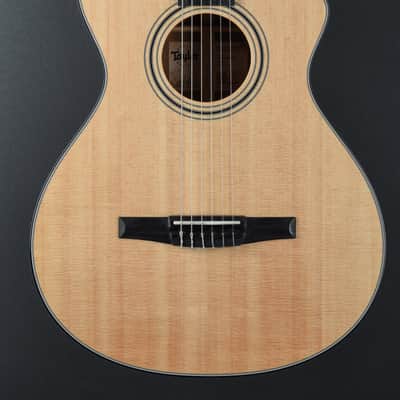 Taylor 312CE-N image 2