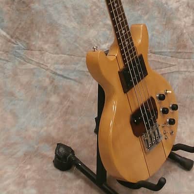 1970's Vintage Pedulla EL-10B Bass image 4