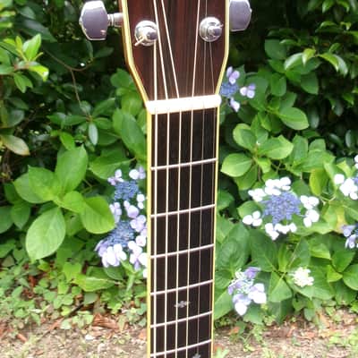1986 Yairi D 35 YW-500P very clean guitar - Natural+Rigid Gig Bag image 5