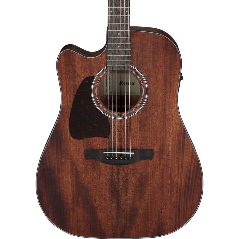 Ibanez AW54LCE