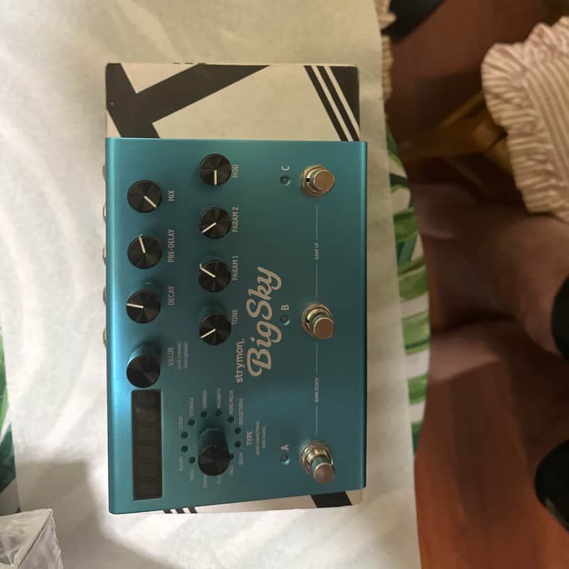 2013 – Present Strymon Big Sky Reverb Blue